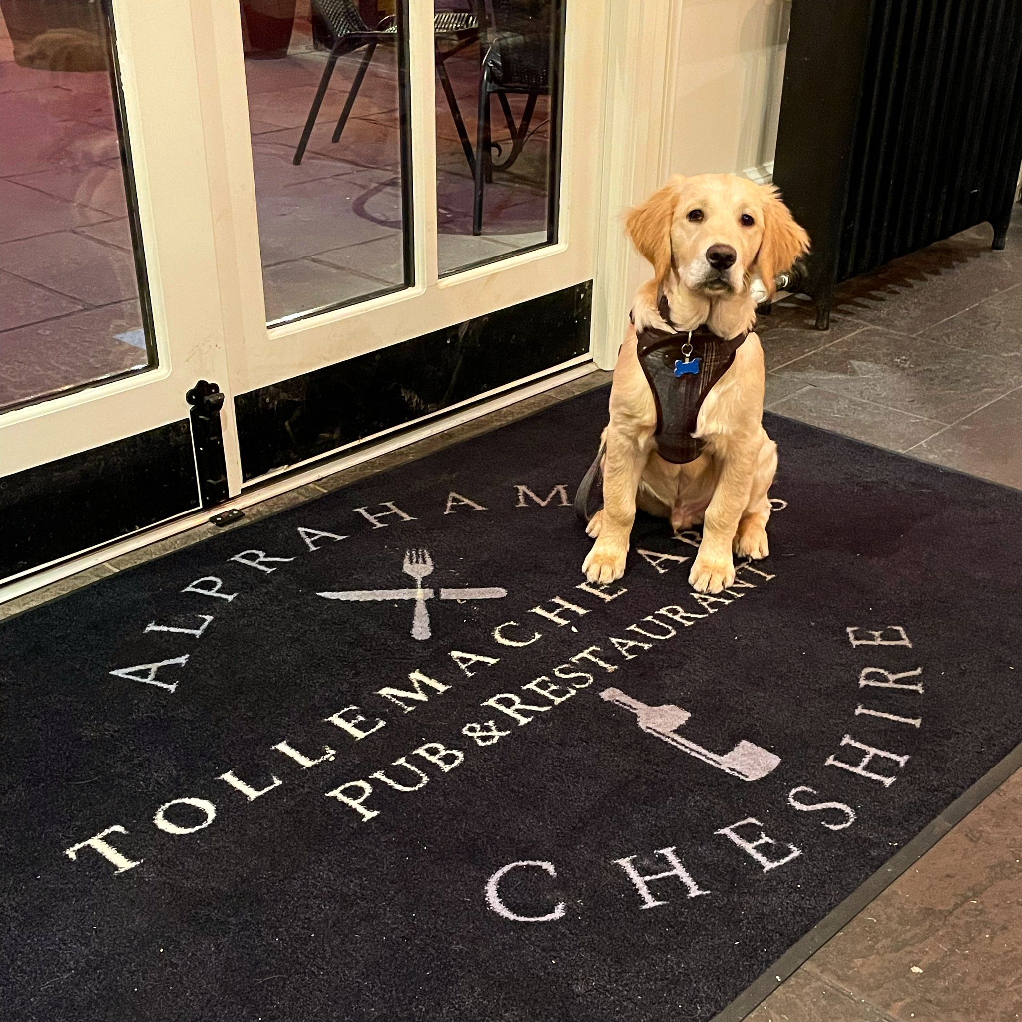 Dexter at the Tollemache Arms